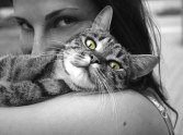 How Much Does Living with a Cat Increase Your Risk of Schizophrenia? article
