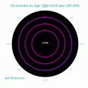 Visualizing Changes in Deaths by Suicide 1999 - 2016 article